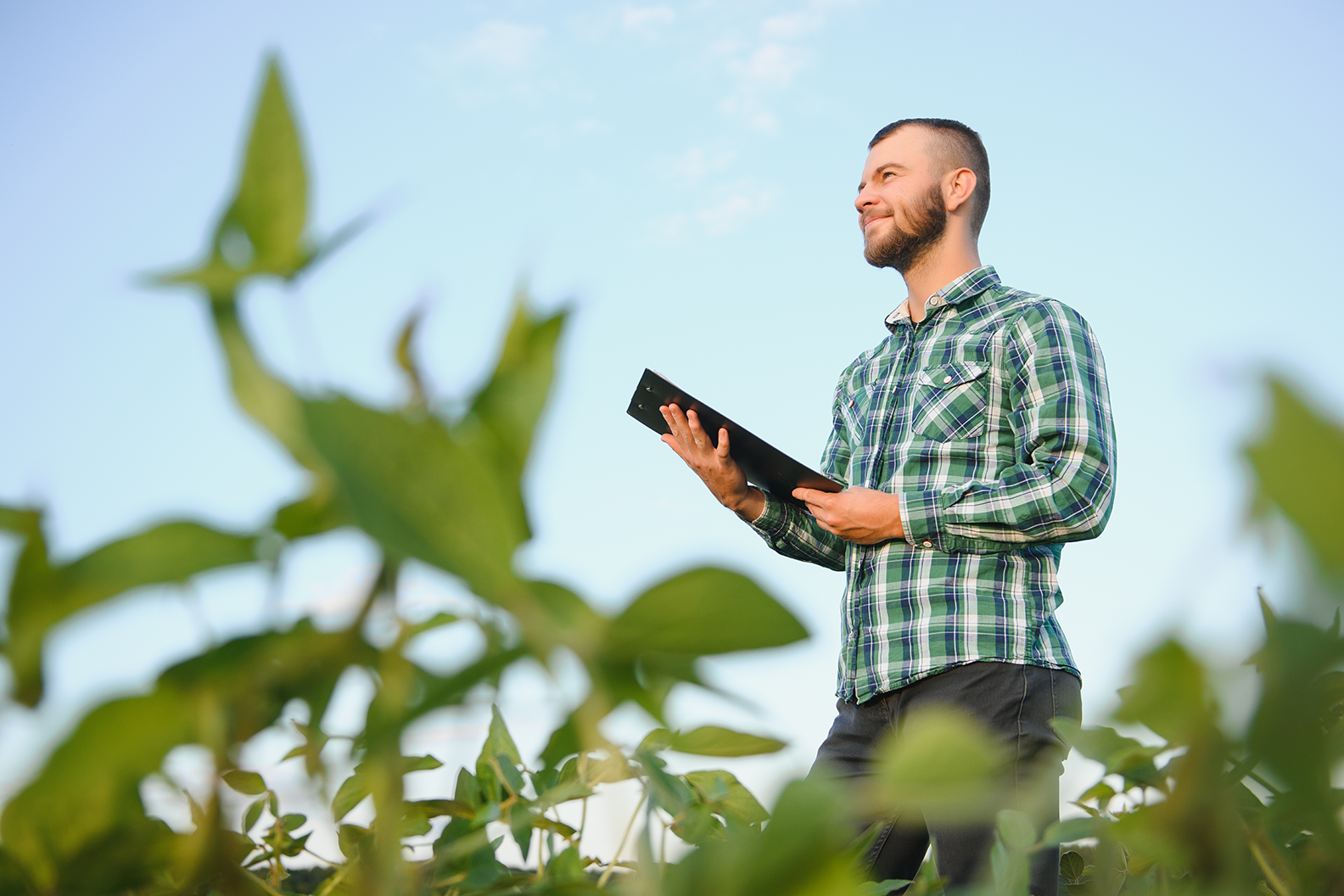 Assicurazione terreno agricolo: come funziona e cosa copre