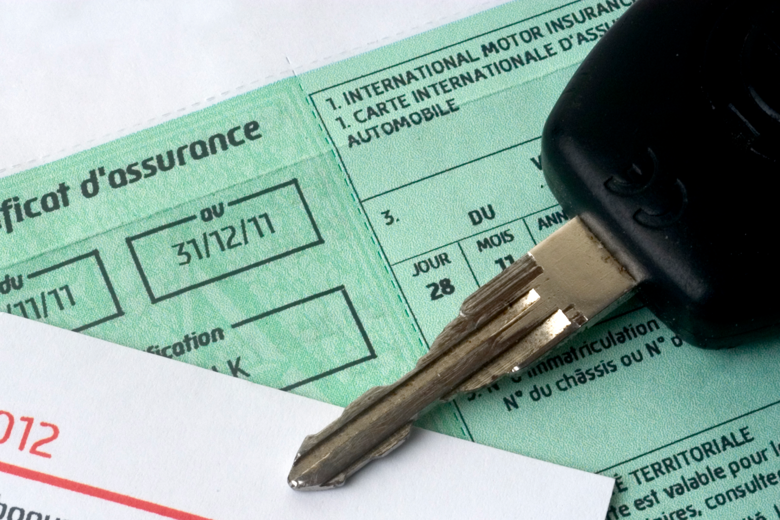 Carta Verde: a cosa serve e quando è utile