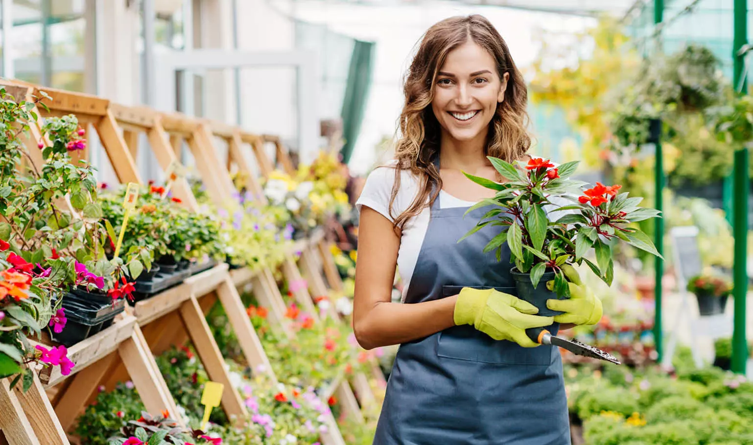 Active Impresa Commercio