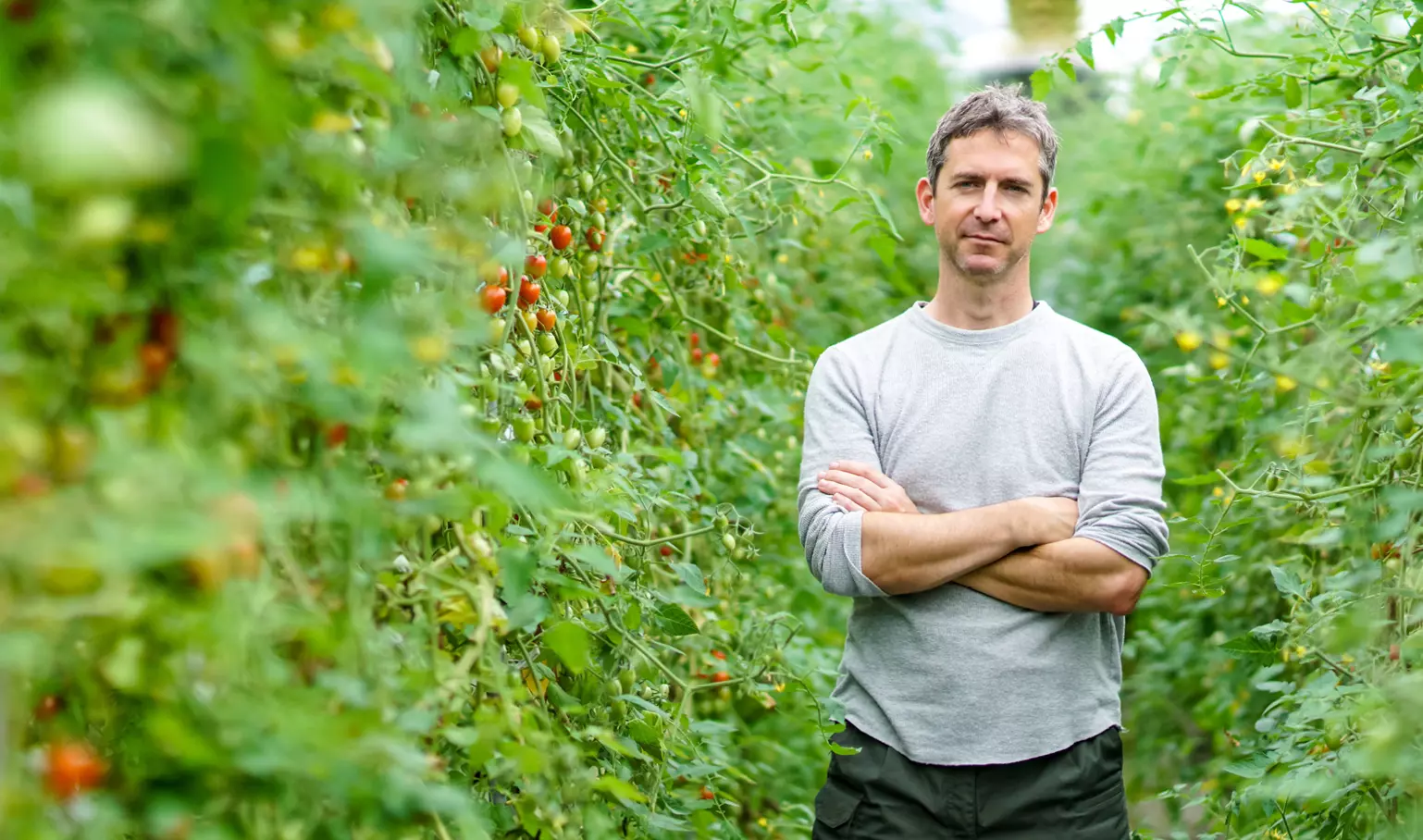 Active Impresa Agricola